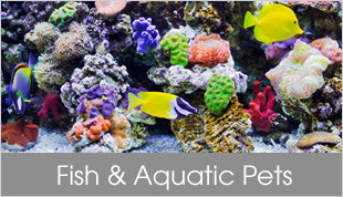 Fish and Aquatic Pets