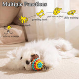 Dog Toy Ball TPR Chew Durable Teeth Cleaner - Blue