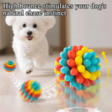 Dog Toy Ball TPR Chew Durable Teeth Cleaner - Blue