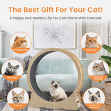 Cat Wheel Medium 38-Inch Cat Exercise Wheel Indoor with Carpeted Running Track, Safety Cat Treadmill with Latch, Weighted Wheel