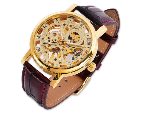 Winner Skeleton Brown Leather Hand Winding Mechanical Watch D160-Gold