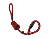 Dog Training Leash 6 Feet Dog Slip Lead Training Lead