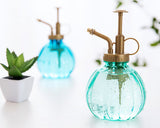 Water Spray Bottle 6'' Plant Mister