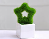 Mini Decorative Artificial Plant