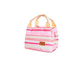 Trendy Insulated Thermal Picnic Lunch Bag with Zipper