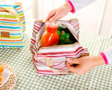 Trendy Insulated Thermal Picnic Lunch Bag with Zipper