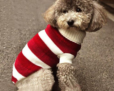 Stripe Series Pet Clothes Dog Knitted Sweater