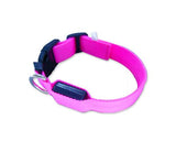 Dazzle Series Pet Dog Collar with LED Light