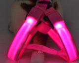 LED Light Series Adjustable Dog Harness Leash