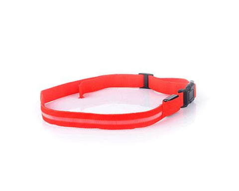 LED Running Waist Belt - Red